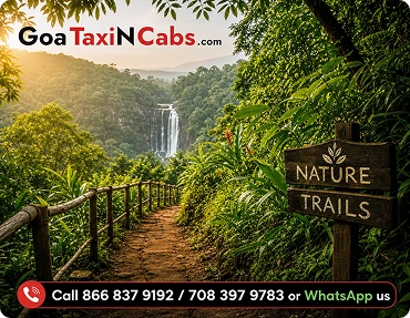 Nature Trails