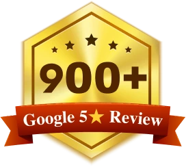 900+ Reviews